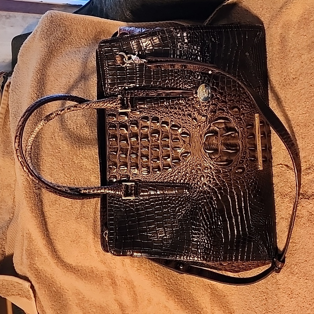 Brown Brahmin purse